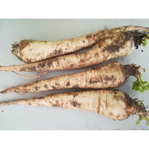 NIEDERHAUSER Wurzelpetersilie (500 g)