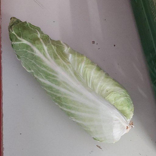 ZANON BIO Zuckerhut (Stk.) 